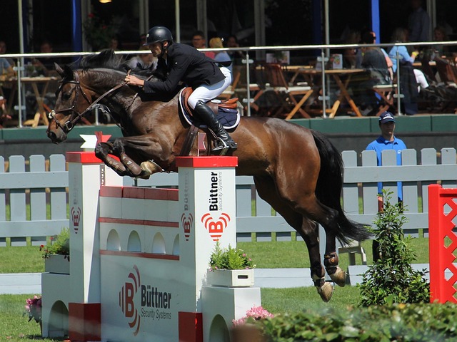 除了福登的 除了福登的