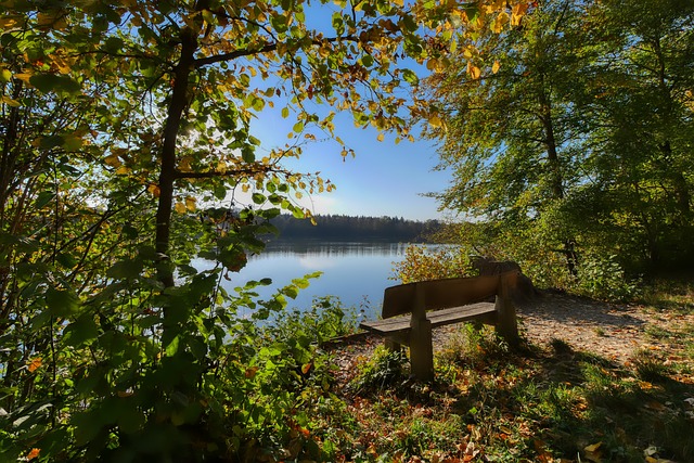 在团队协作 在团队协作