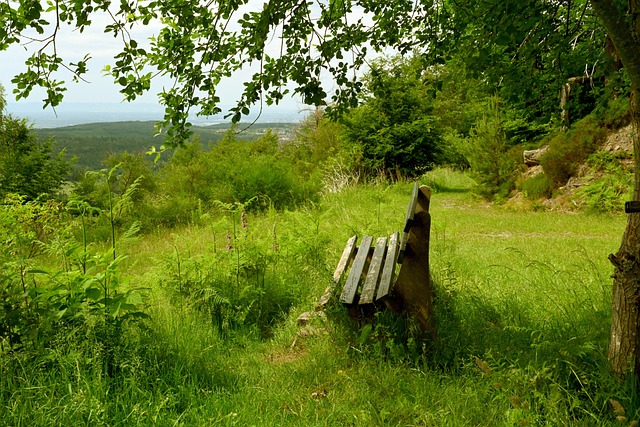 确保掘金队 确保掘金队